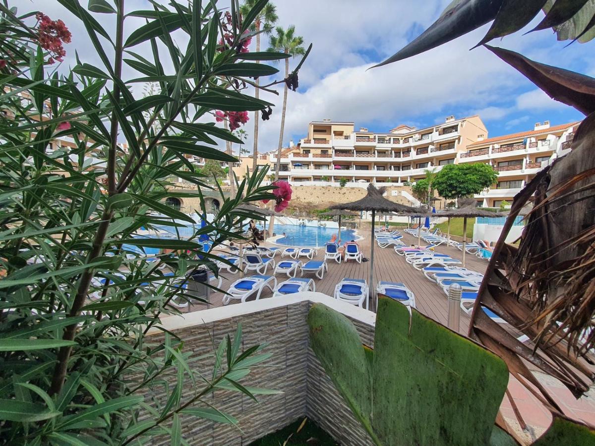 Brand New Apartment In Park Albatros With Pool View San Miguel de Abona Buitenkant foto